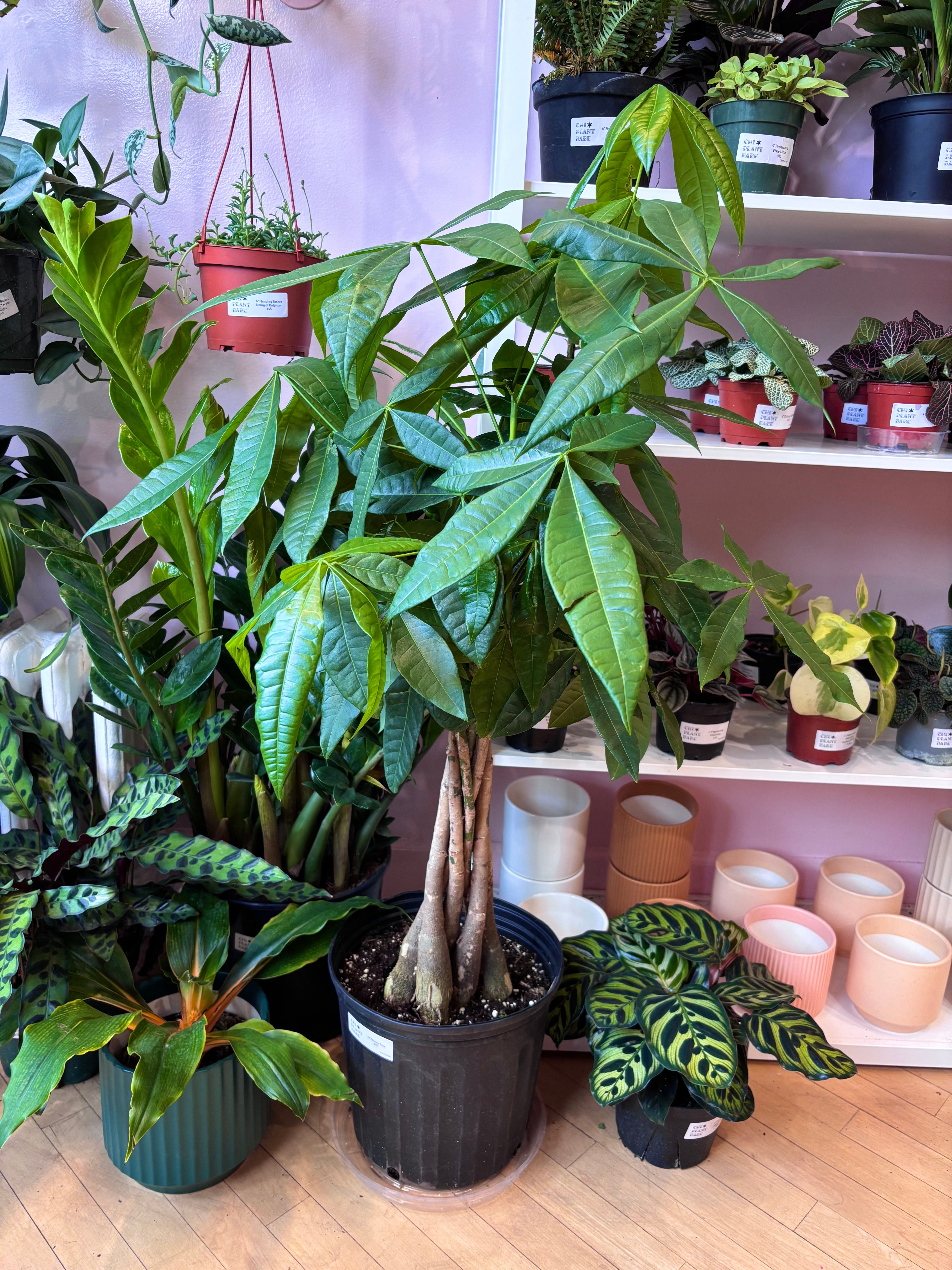 indoor small palm plants Moroccan Artificial Palm Tree – Handmade Silk Plant in Pot – Ed's Plant Shop